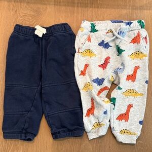 Two jogger sweat pants